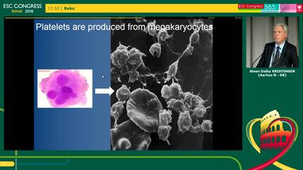 Presentation thumbnail