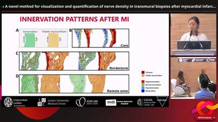 Presentation thumbnail