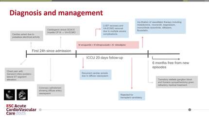 Presentation thumbnail