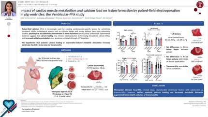 Impact of cardiac muscle metabolism and calcium load on lesion formation by pulsed-field electroporation in pig ventricles