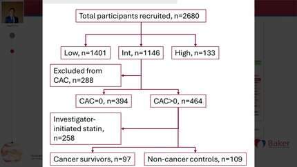 Suboptimal cardiovascular risk management in cancer survivors: analysis of statin prescription patterns following coronary calcium scoring
