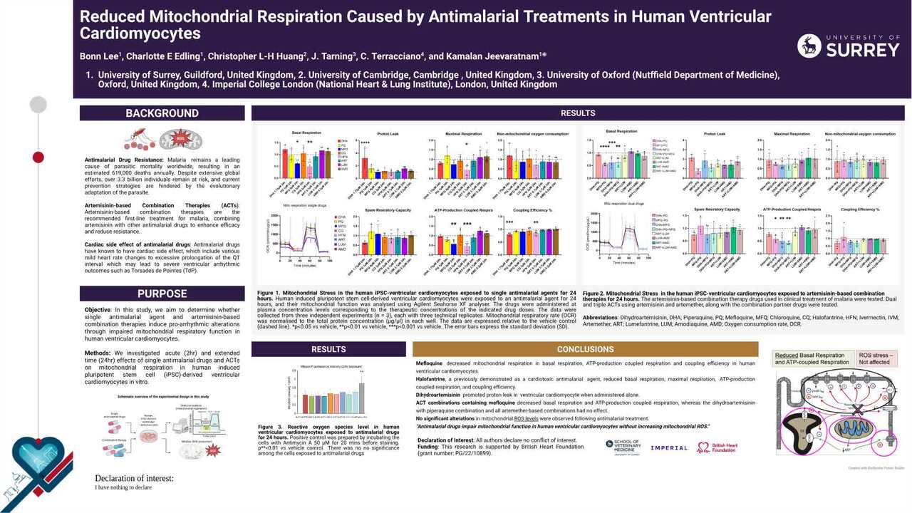 Reduced mitochondrial respiration caused by antimalarial treatments in human ventricular cardiomyocytes