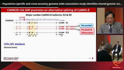 Presentation thumbnail