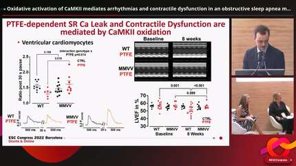 Oxidative activation of CaMKII mediates arrhythmias and contractile dysfunction in an obstructive sleep apnea mouse model