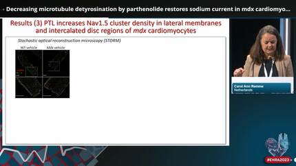 Presentation thumbnail
