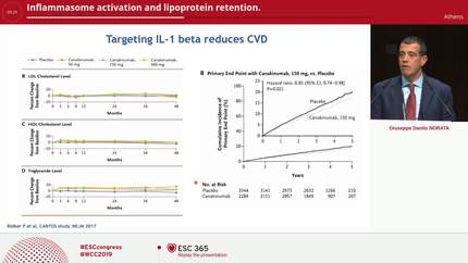 Presentation thumbnail