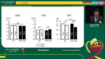 Deletion of SIRT1 in the cardiomyocyte worsens doxorubicin-induced cardiac dysfunction in mice.