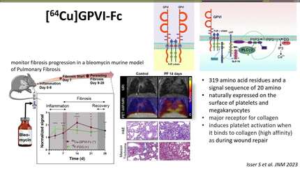 Presentation thumbnail