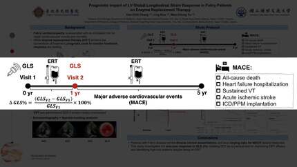 Prognostic impact of LV GLS response in Fabry patients on enzyme replacement therapy