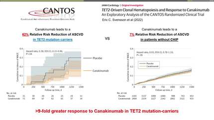 Presentation thumbnail
