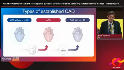 Individualising Antithrombotic Strategies for Established Coronary Artery  Disease