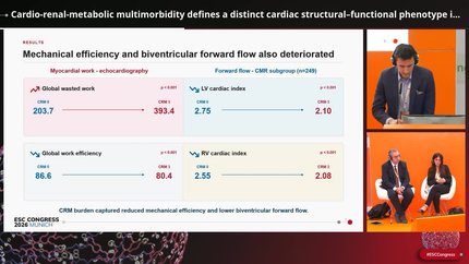 Cardio-renal-metabolic multimorbidity defines a distinct cardiac structural–functional phenotype in acute STEMI independent of infarct extent 