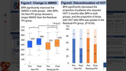 Clinical impact of residual pulmonary hypertension based on revised criteria after balloon pulmonary angioplasty