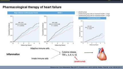 Cooling down or heating up? The delicate balance of inflammation in the heart