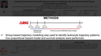 Presentation thumbnail