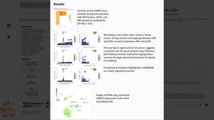 Aortic regurgitation: links to declining hepatic-renal function, WWP-2 and IL-6 by genetic data