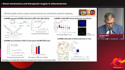 Presentation thumbnail