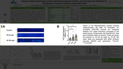 Presentation thumbnail