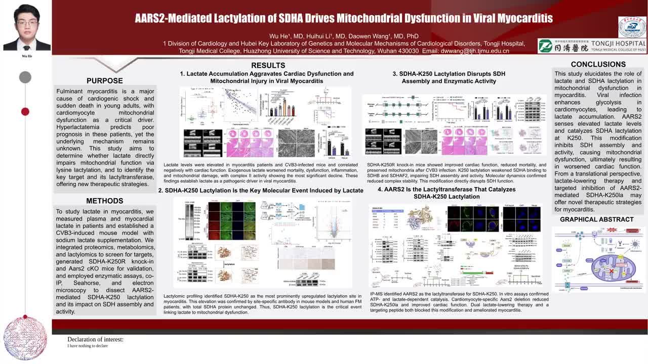 AARS2-mediated lactylation of SDHA drives mitochondrial dysfunction in viral myocarditis