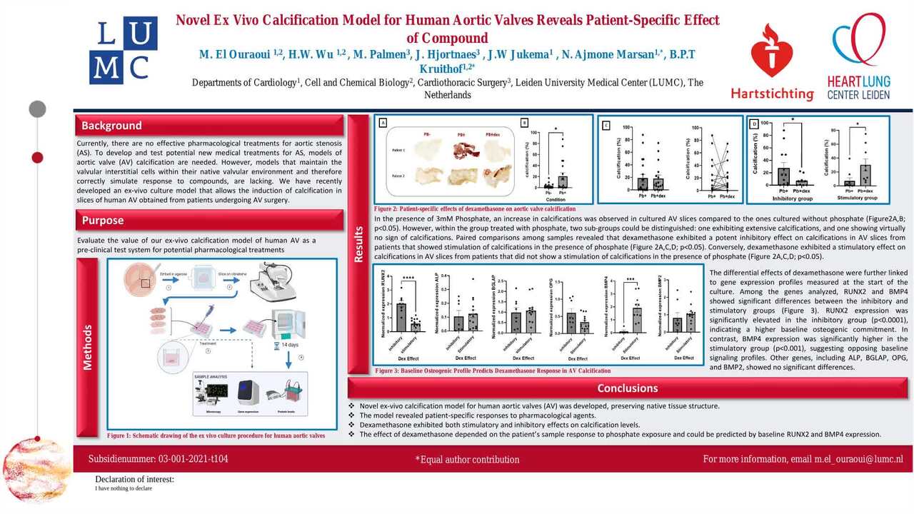 Presentation thumbnail