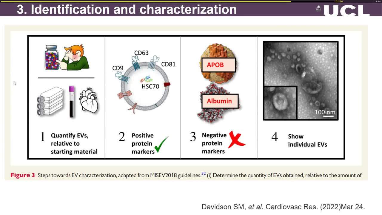Extracellular vesicles