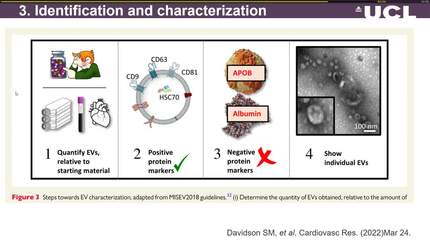 Extracellular vesicles