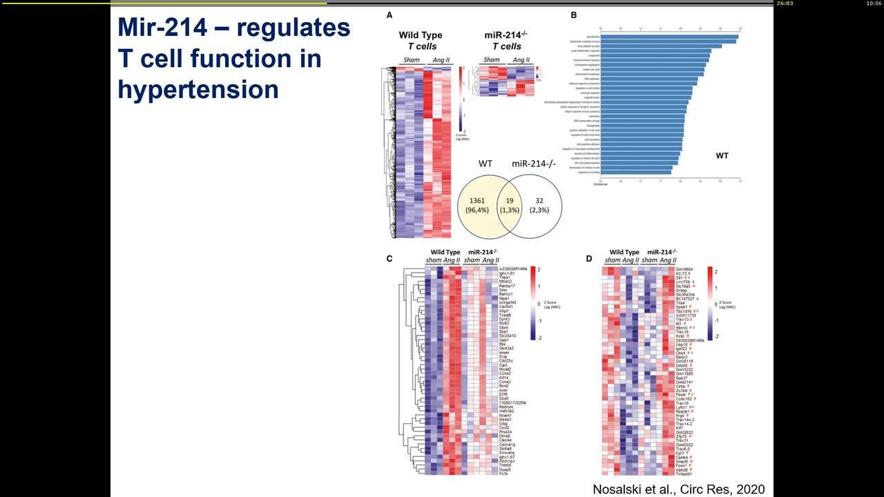 Perivascular inflammation - adaptation mechanism or disease ?