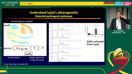 Presentation thumbnail