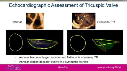 Presentation thumbnail