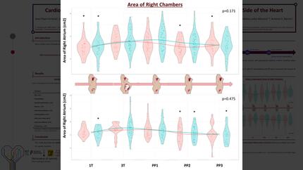 Presentation thumbnail