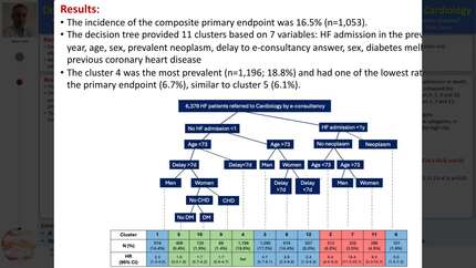 Decision support system for risk stratification in patients with heart failure referred to Cardiology.
