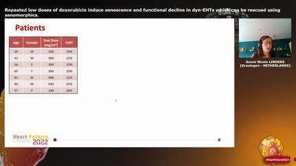 Presentation thumbnail