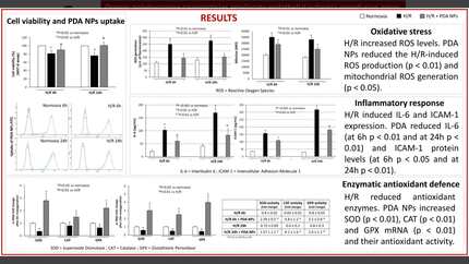 Presentation thumbnail