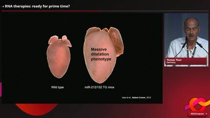 Presentation thumbnail