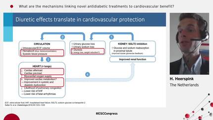 What are the mechanisms linking novel antidiabetic treatments to cardiovascular benefit?