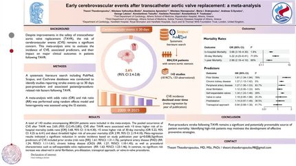 Periprocedural cerebrovascular events after transcatheter aortic valve implantation: a systematic review and meta-analysis