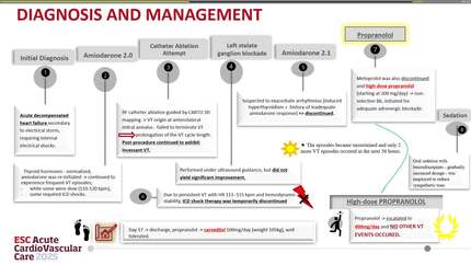 Presentation thumbnail