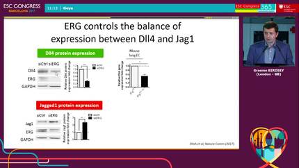 Presentation thumbnail