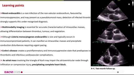 Presentation thumbnail