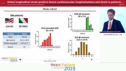 Global longitudinal strain predicts future cardiovascular hospitalizations and death in patients with non-ischemic cardiomyopathy and recovered left ventricular ejection fraction: a multicenter study