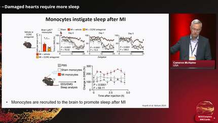Presentation thumbnail