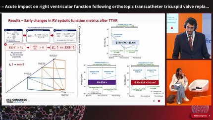 Acute impact on right ventricular function following orthotopic transcatheter tricuspid valve replacement. Insights from deformation imaging and non-invasive pressure–volume analysis