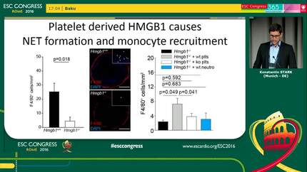 Different HMGB1 redox forms derived from platelets and neutrophil extracellular traps coordinate venous thrombosis in vivo