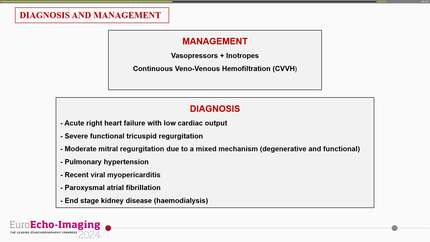 Exploring cardio-renal interactions in haemodialysis: a clinical perspective