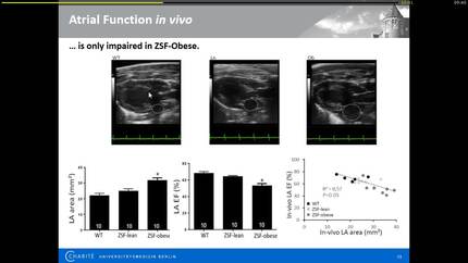 Presentation thumbnail