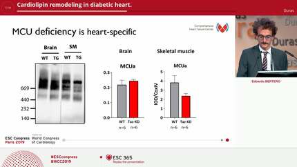 Cardiolipin remodeling in diabetic heart.