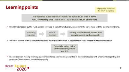 FLCN-related HCM: A patient with a potential novel truncating variant presenting with septal and apical LV hypertrophy and high-risk for malignant ventricular arrhythmias 