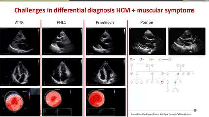 Presentation thumbnail