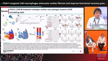 Therapeutic targeting and cardiac repair strategies 