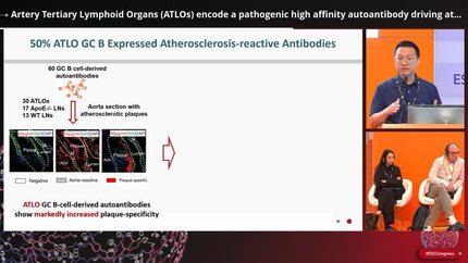 Presentation thumbnail